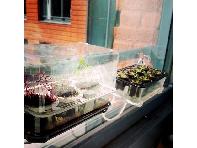 Seedling starters  (for Window Greenhouse) by _Mari_Makes_