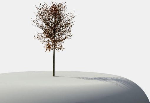 Tree 01 3D Model