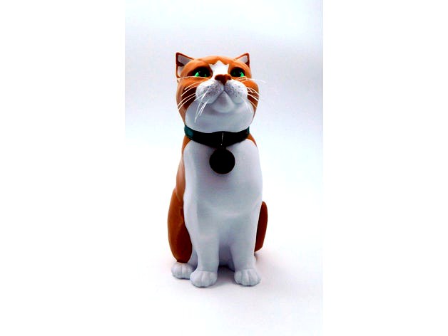 SCHRODINKY! BLANK CAT COLLAR MEDAL by loubie