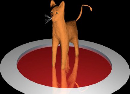 Cat feline cat 3D Model