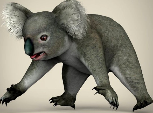 Low Poly Realistic Koala 3D Model
