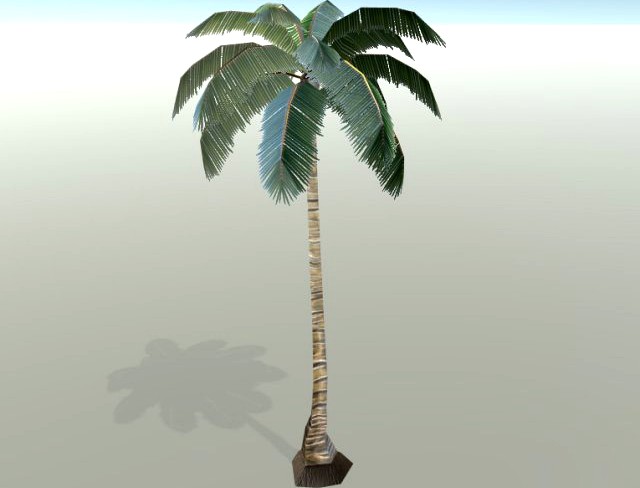 Palm Tree 3D Model