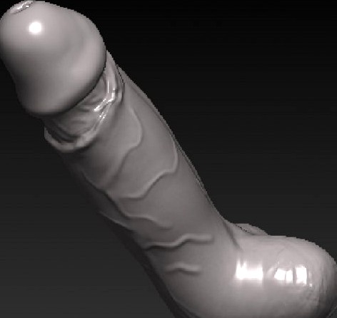 Realistic Penis for 3D Printer 3D Model