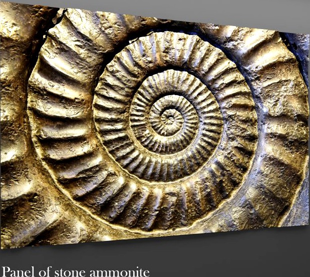 Panel ammonite 3D Model