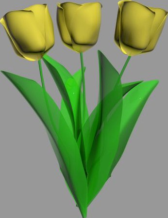 Tulips 3D Model