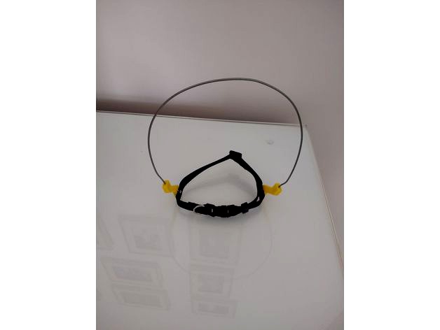 Leash adapter for blind dogs by cartolla