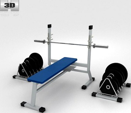 Weight Bench with Weights 3D Model