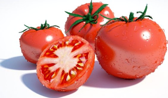 Tomato 3D Model