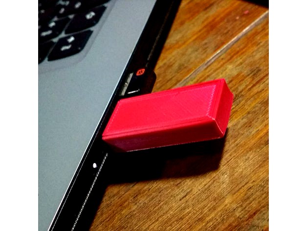 USB Drive / Flash Drive / Pen Drive Case by BrosJr