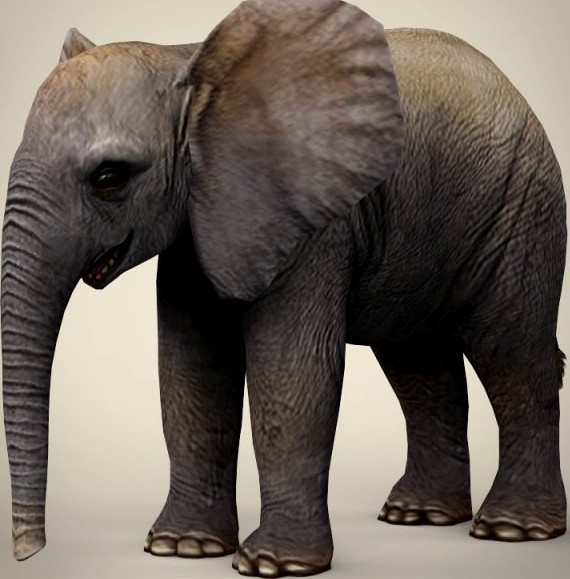 Low Poly Realistic Baby Elephant 3D Model