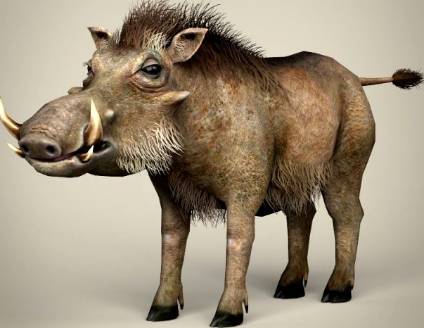 Low Poly Realistic Warthog 3D Model