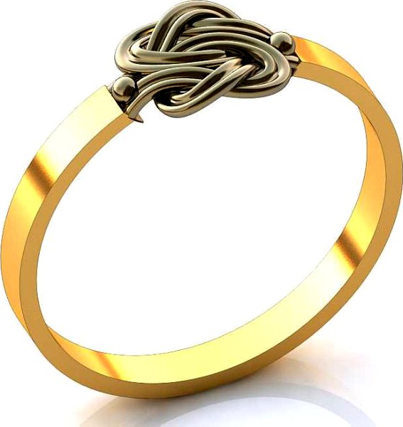 Ring A 002 3D Model