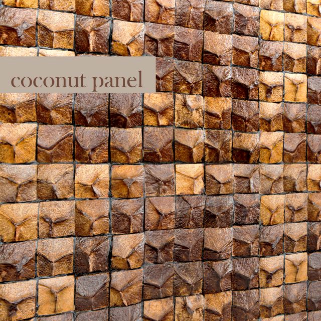 Coconut panel 3D Model