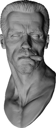 Arnold Printable 3D Model