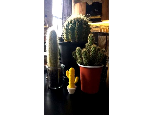 A Cute Little Cactus by alie
