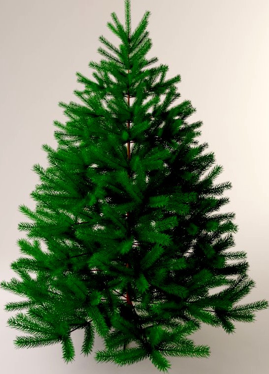 Christmas tree 3D Model