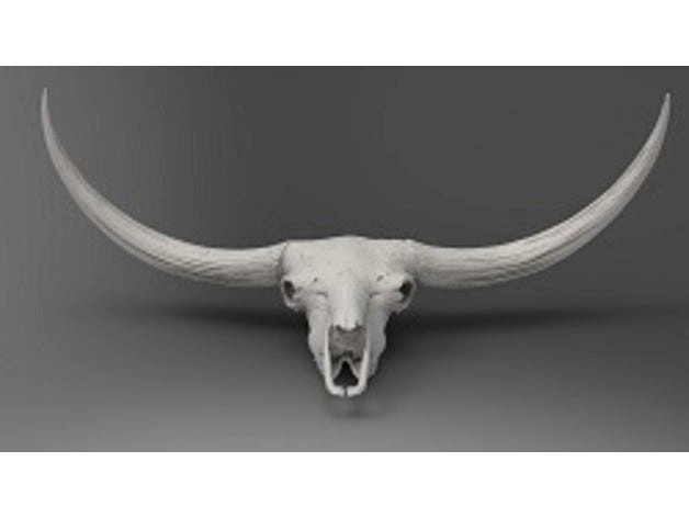 Bison latifrons skull by jkkhuang