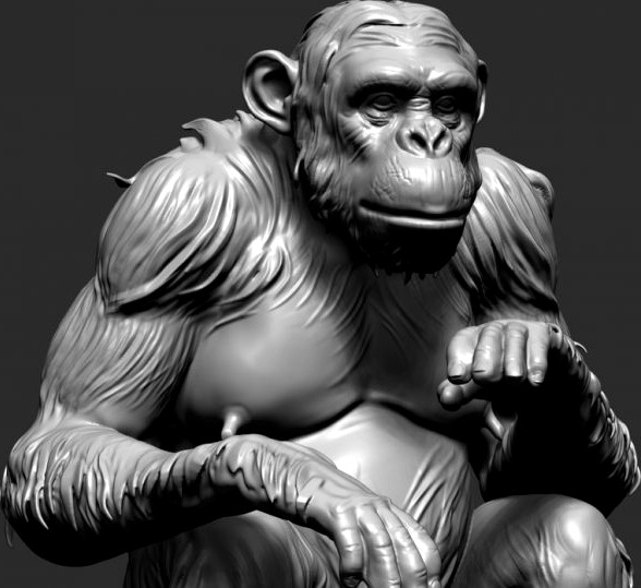 Chimp 3D Model