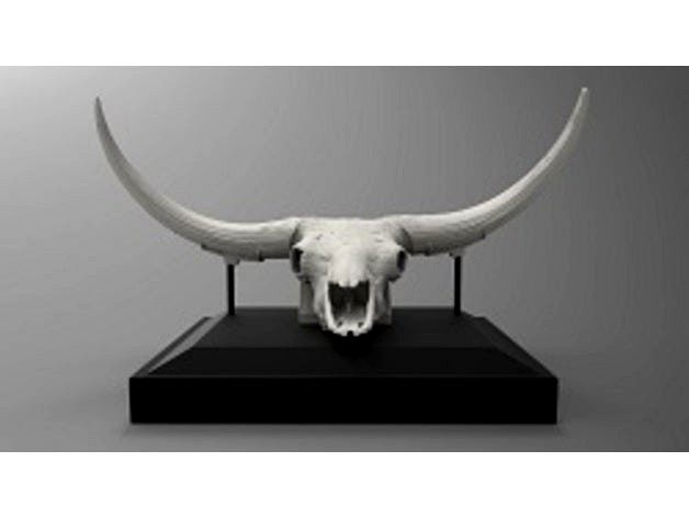 Bison latifrons skulls by jkkhuang
