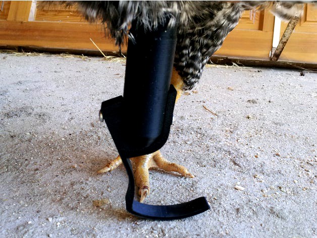 Chicken prosthesis by Rafter