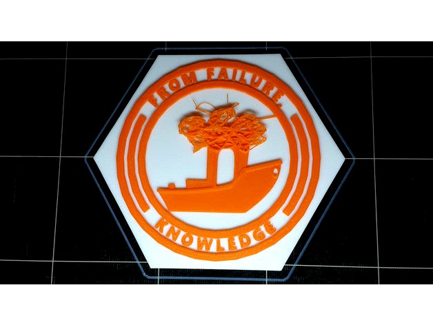 From Failure Comes Knowledge Maker Coin Hexagon by MaxFunkner