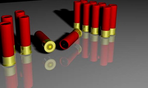 Shotgun shells 3D Model