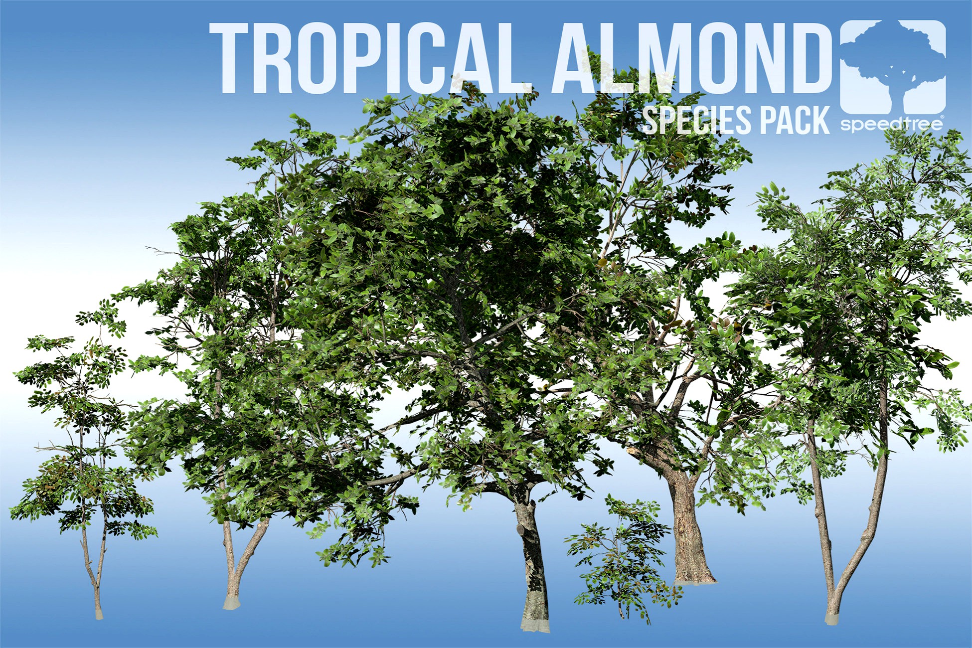 Tropical Almond Species Pack (v8)