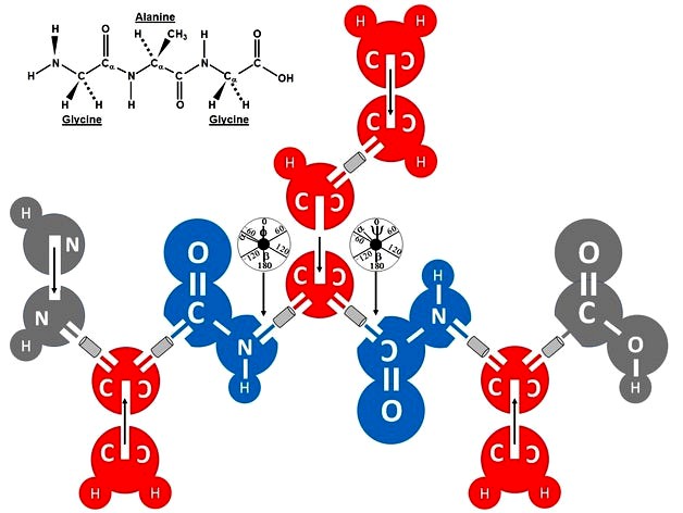 Peptide V2.0 by jakelmer