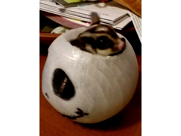 Sugar Glider Shell by Dodger60