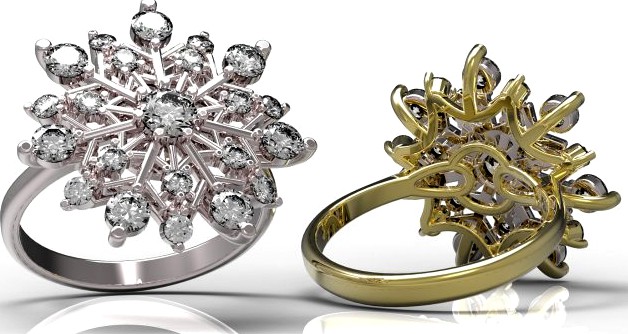 Ring 79 3D Model