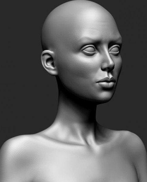 Female Anatomy 3D Model