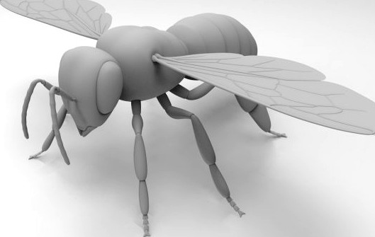 Honey Bee 3D Model