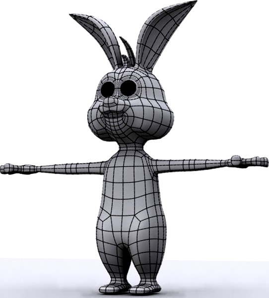 Rabbit Model