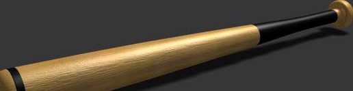 Baseball Bat