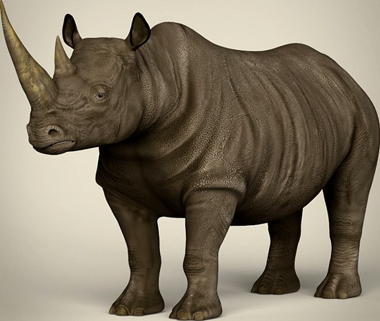 Realistic Rhinoceros