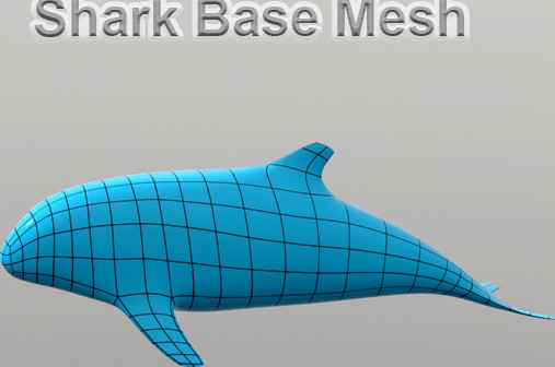 Shark Base Mesh