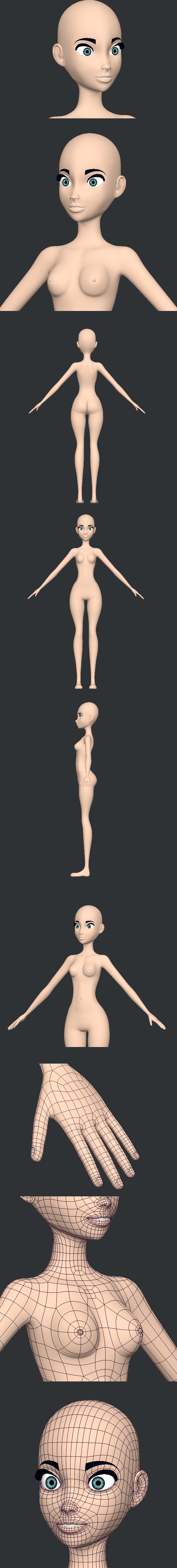 Stylized Female Body