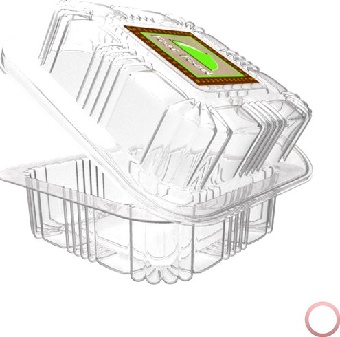 Food Plastic Pack
