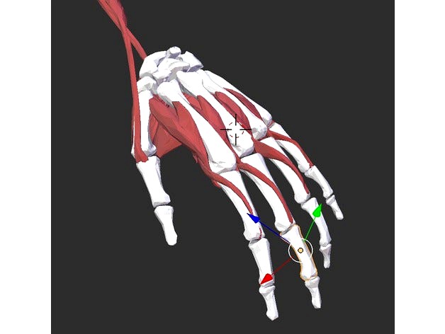 Multi material hand by benengel