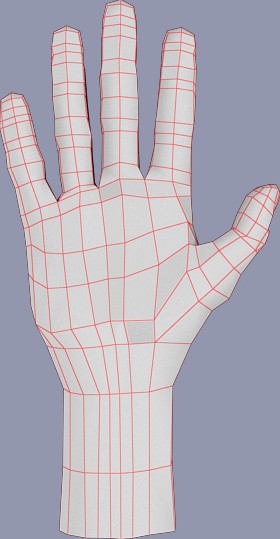 Hand Human Male