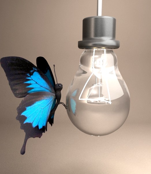 Butterfly and light