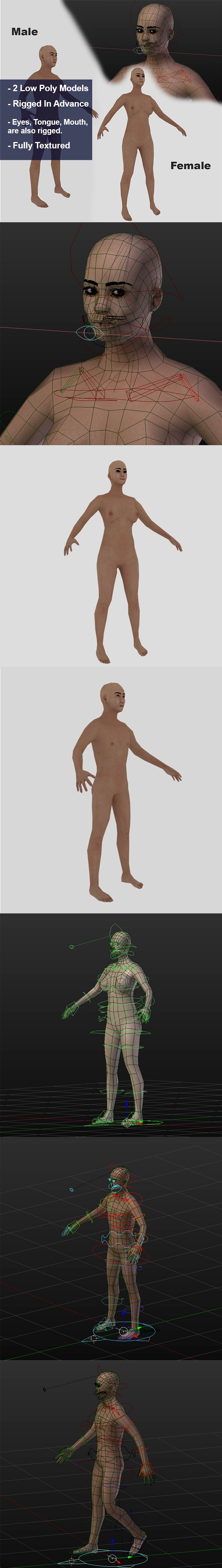 Low Poly Human