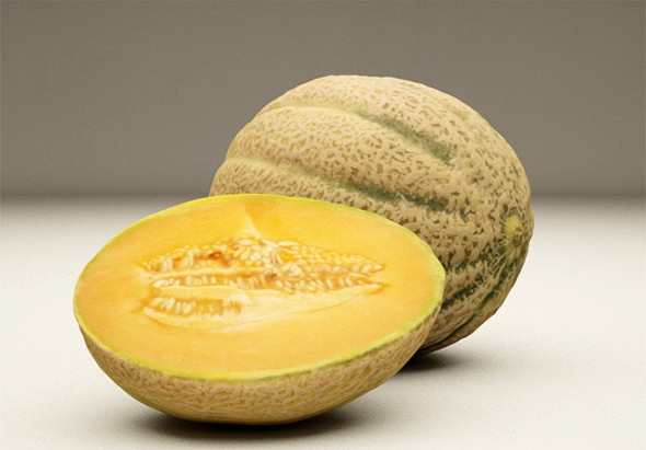 Melons 3D Model