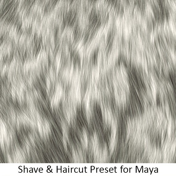 Shave Soft Dog Fur