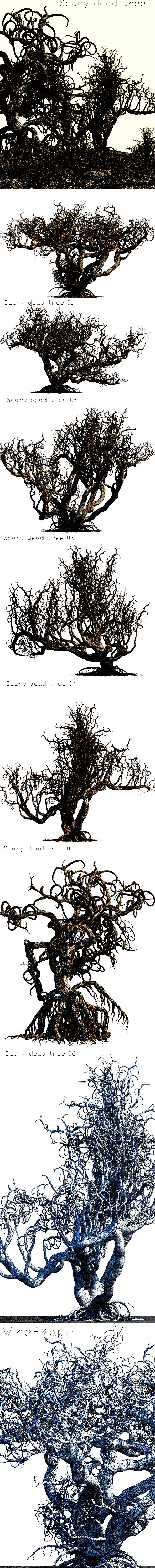 6 Scary Dead Trees