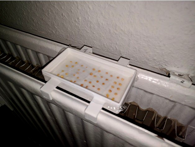 Germination Box by drindt