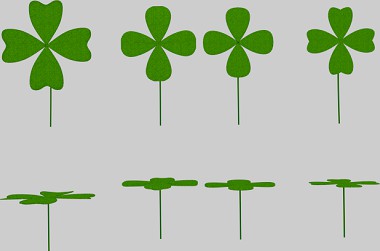 Four Leaf Clover Pack