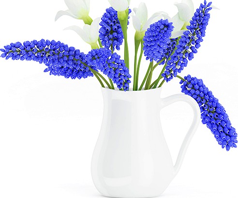 Blue and White Flowers in White Pot