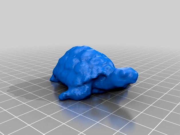 Tortoise by Toby-Bunker