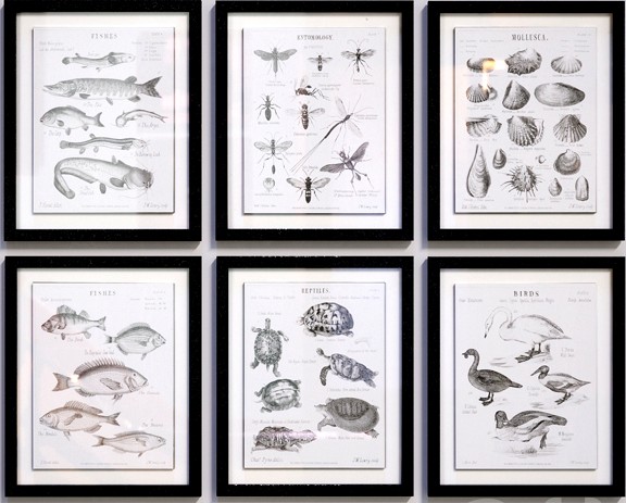 Science Studies pictures